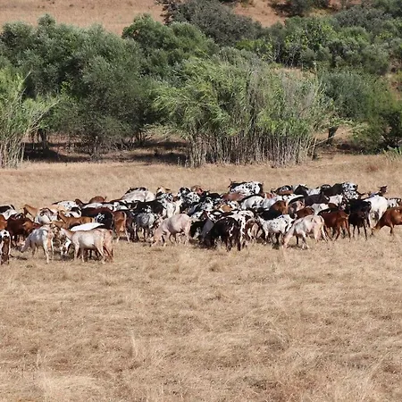 別荘 Casa Do Cerro Campeiros